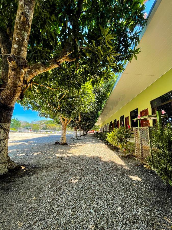 Hotel El Regalo Nicoya Exteriör bild